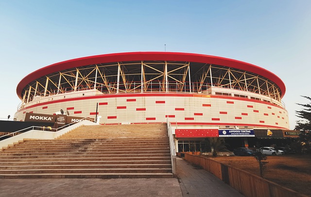 极和理性的 极和理性的