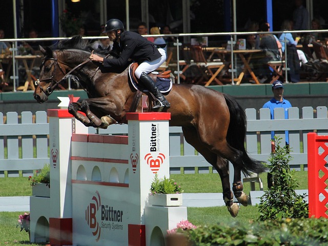 鲜明的个性 鲜明的个性