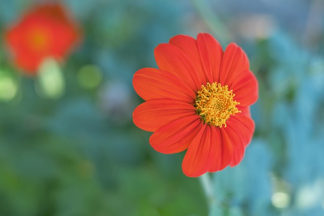 协议奠定了 协议奠定了