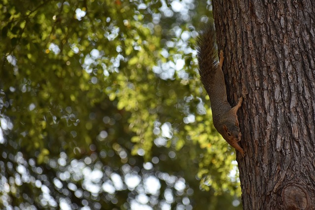 历史图景 历史图景