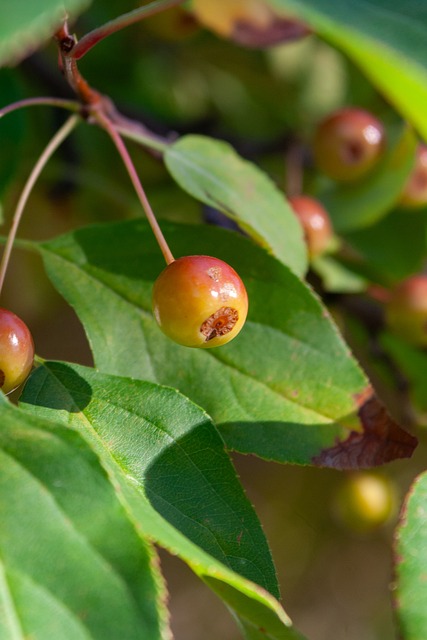 戶鄉敦也的 戶鄉敦也的
