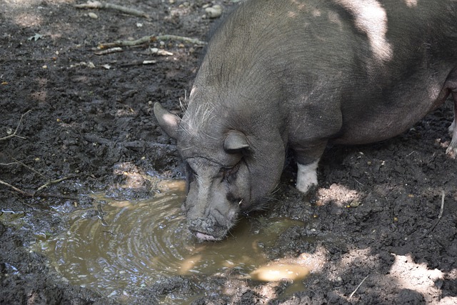 的运动中 的运动中
