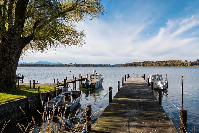 理的调整 理的调整