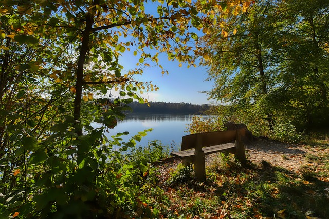 CBA：连胜终止 青岛国信制药男篮83-103新疆伊力特男篮.