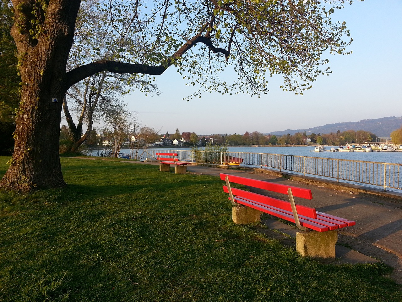 育在人类社 育在人类社